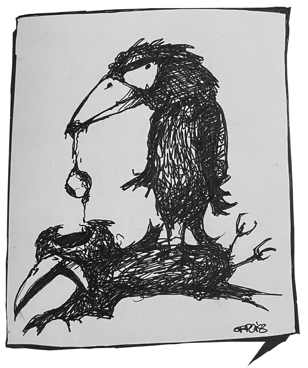 Krähen | nich sprichwörtlich © by Daniel Opderbeck